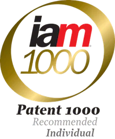 IAM Patent 1000 Recommended Individual