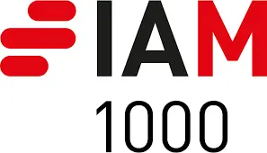 IAM Patent 1000 Recommended