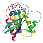Molecule
